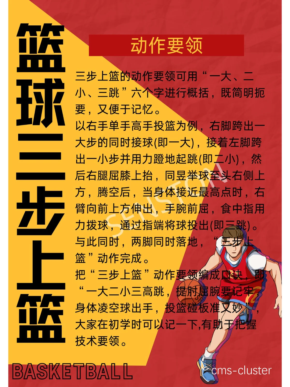 初学者篮球爱好者如何为锦标赛做准备
