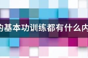 篮球训练电子资料有哪些